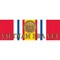 Vietnam Era Vet National Defense Ribbon Bumper Sticker 3-1/4"X9"